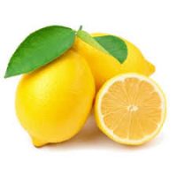 citron fournisseur