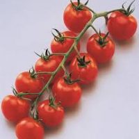 tomates apéro