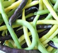 haricot mix