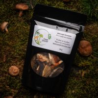 mélange forestier champignon séchés