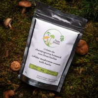 plaisir forestier crème de champignon homard