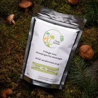 plaisir forestier - potage champignon sauvage 2025