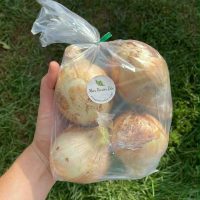 oignon jaune sac