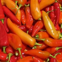 piment fort